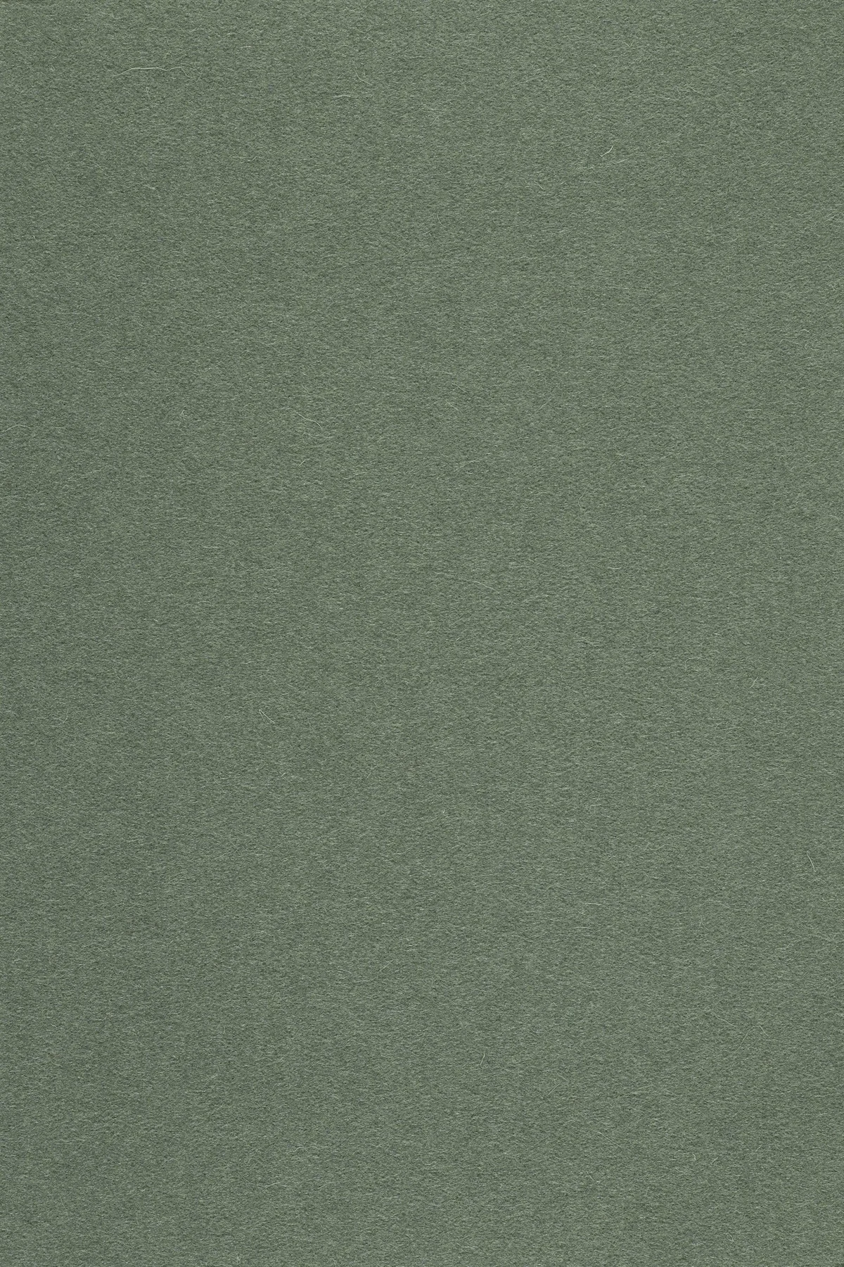 Fabric sample Divina 3 944 green